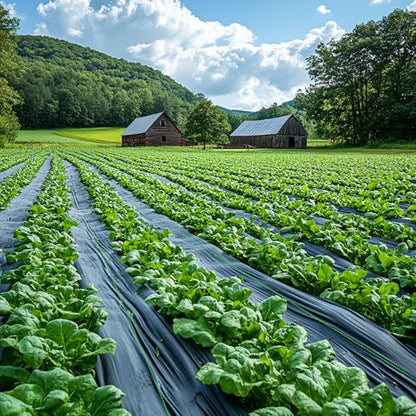 3ft x 250ft Weed Barrier Landscape Fabric Heavy Duty Premium Weed Control Fabric Durable & Eco-Friendly Weed Block Gardening Mat Landscaping Fabric - size: 3ft x 250ft