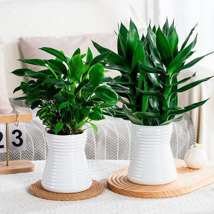 2PCS Self Watering Planters 5.9 Inch Self Watering Pots for Indoor Plants, African Violet Pots with Wick Rope, Flowers, Succulents, Herb, House Plants - color: White 2