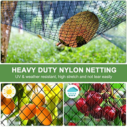Bird Netting 25'x100' Heavy Duty Nylon Net with 2" Mesh, Garden Netting - size: 2", 25' x 100'