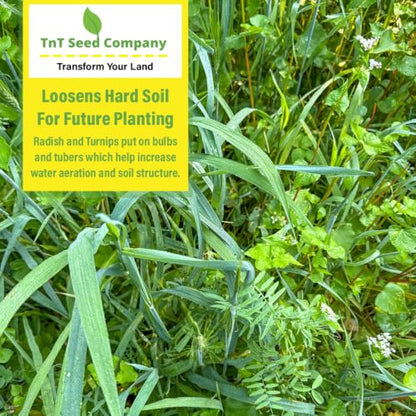 5 lb All Purpose Garden Cover Crop Seed Mix for Planting - 15 Seed Blend for Raised Beds & Gardens - Improves Soil & Organic Matter - Easy to Grow - size: 5 LBS = 3,000–3,750 sq f