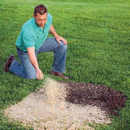 EZ Straw Seeding Mulch with Tack - Biodegradable Organic Processed Straw – 2.5 CU FT Bale (covers up to 500 sq. ft.), multi - size: 2.5 CU FT BALE