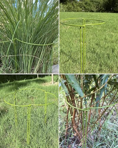 6-Packy Plant Support Stakes, Steel Stakes for Indoor Plants, Monstera & Peony Support, Tall Plant Sticks for Snake Plant, Climbing Vines (8" Wide x 14" High)