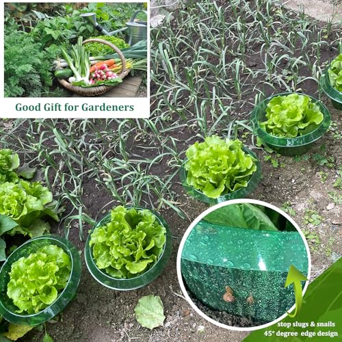 Fshow Garden Cloches，5 Pack Plastic Slug & Snail Plant Protection Collars, Snail Defense Without Chemistry, Planting Rings Protects Plants to Get Better. - color: green 5pcs