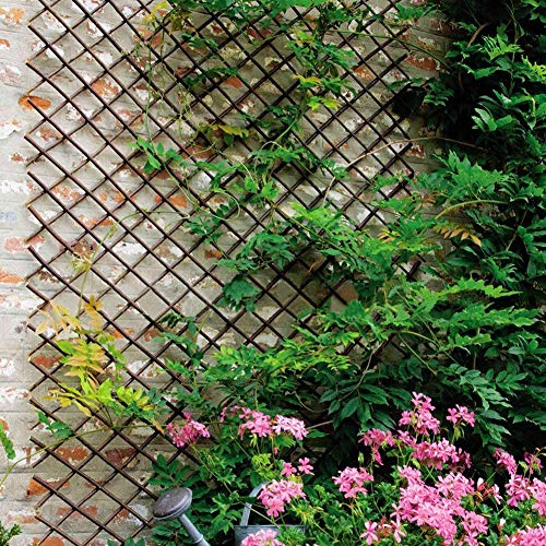 Natural Lattice Willow Trellis Fence for Climbing Plants,Expandable Garden Fence Wall Panel, Outdoor Decorative Wood Fence (4 Pieces)