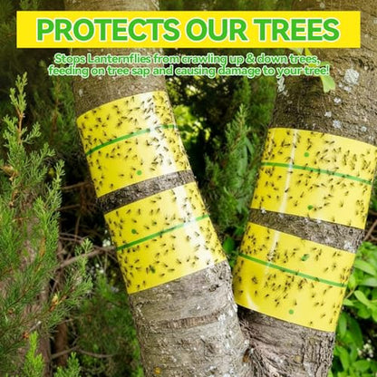 10 Rolls Sticky Fly Trap 30 ft Each, Fluorescent Yellow, Green Lines - color: Fluorescent Yellow with Green Lines