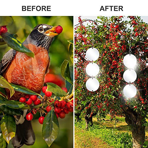 XPCARE Bird Scare Discs Set, 30 Pcs Reflective Double-Sided Bird Reflectors