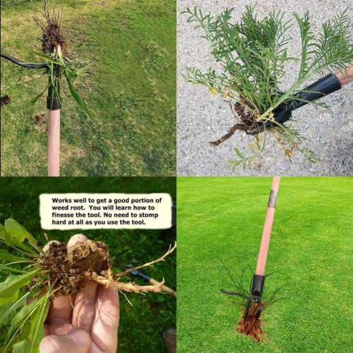 Stand Up Weeder Manual Weed ,Remover Weed Puller Tool with Foot Plate for Removing Weeds -Black Aluminum Lever Head Weed Puller, Garden Weeder Root Remover Tool(Without Pole)