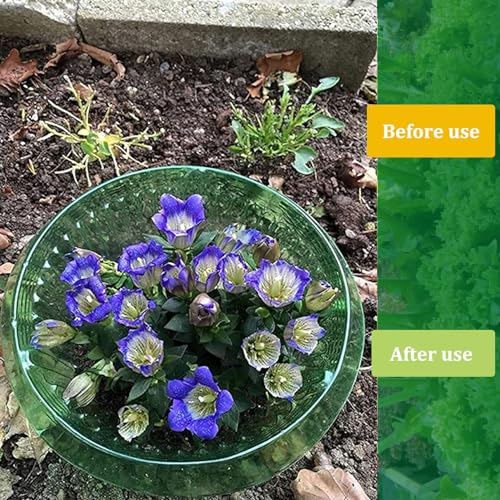 Fshow Garden Cloches，5 Pack Plastic Slug & Snail Plant Protection Collars, Snail Defense Without Chemistry, Planting Rings Protects Plants to Get Better. - color: green 5pcs