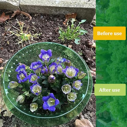 Fshow Garden Cloches，5 Pack Plastic Slug & Snail Plant Protection Collars, Snail Defense Without Chemistry, Planting Rings Protects Plants to Get Better. - color: green 5pcs