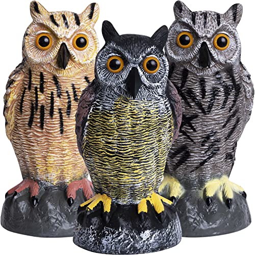 Plastic Owl Decoys [Set of 3] - Multicolor Owl Statues for Garden & Outdoors, Scare Birds Away, Realistic Design with Reflective Eyes, Weather Resistant - style: Colonial