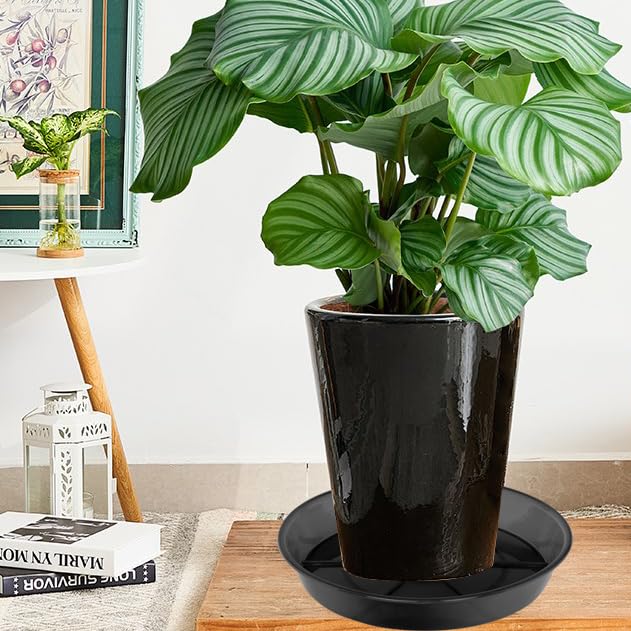 NIMYAU Large Plant Saucer 16 Inch 2 Pack, Plant Trays for Pots Heavy Duty Round Plastic Plant Saucers for Indoors Outdoors, Clear Black Flower Plant Pot Saucer, Flower Pot Drip Trays, Plant Pot Tray - size: 16"-2 Pack