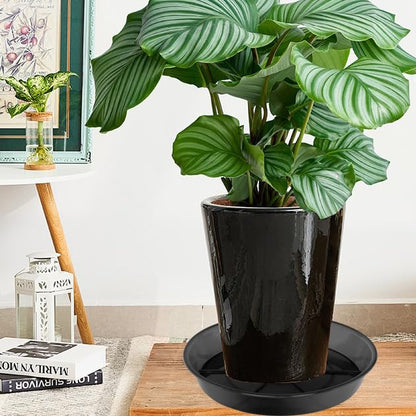 NIMYAU Large Plant Saucer 16 Inch 2 Pack, Plant Trays for Pots Heavy Duty Round Plastic Plant Saucers for Indoors Outdoors, Clear Black Flower Plant Pot Saucer, Flower Pot Drip Trays, Plant Pot Tray - size: 16"-2 Pack