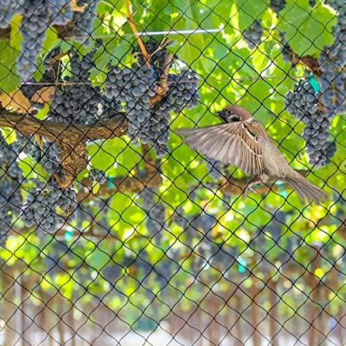 OGORI 25' x 50' Bird Netting Heavy Duty Nylon 3/4" Mesh Garden Netting Protect Fruit Trees, Plants and Vegetables - size: 25'×50'-3/4''