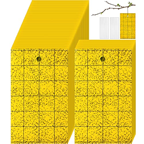 Qualirey 50 Pcs Yellow Sticky Trap for Gnats 3 x 5'' Dual Side - color: Yellow, size: 3'' X 5''