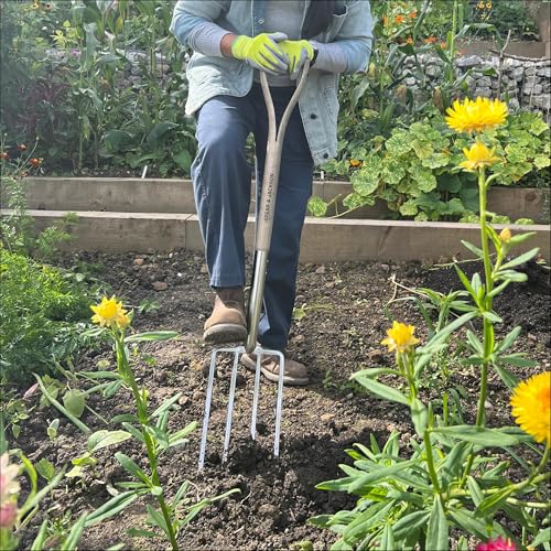 Spear & Jackson Traditional Stainless Steel Digging Fork, Heavy Duty Durable Stainless Steel Garden Tool, Ideal for Digging, Aerating, and Turning Soil - style: Digging Fork