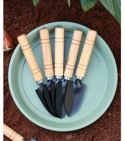Wood Handle Garden Hand Trowel Iron Narrow Shovel Mini Digging Spade for Planting Transplanting Weeding Potting Succulent Care 6.69 x 1.38 Inch with Storage Bag 1 PCS