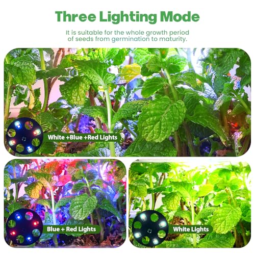 Seed Starter Trays with Grow Lights, 72 Cells Seed Starter Kit with Lights, 4 Timing Set, Germination Kit for Seed Starting Trays, Seedling Starter with High Humidity Control Domes (White, 6PCS) - color: White