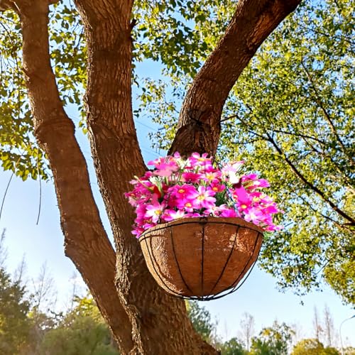 TIHOOD 2 Pack 8 inch Metal Hanging Baskets for Plants Outdoor, Wire Round Planters with Coco Coir Liner, Hanging Flower Baskets for Home Garden Porch Balcony Railings Decor