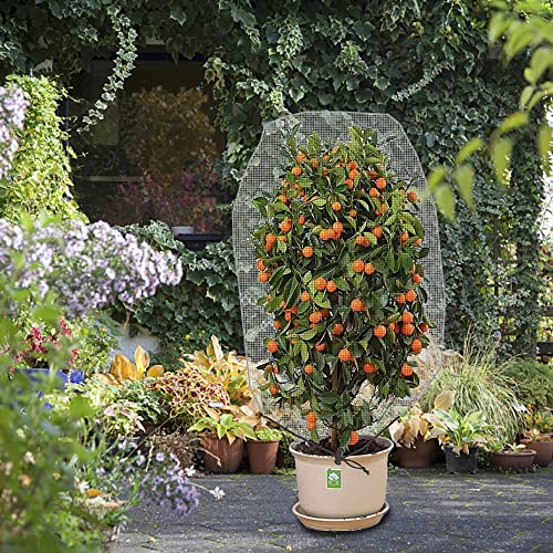 Alpurple 2Pcs 4.6 x 3.9 Ft Garden Plant Netting Mesh Barrier Bags- Fruit Tree Net with Drawstring- Tomato Plant Protective Netting Cover for Protect Plant Fruits Citrus Flower from Insect Bird Eating - color: 2 Pcs, size: 4.6x3.9 ft