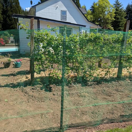 Deer Fence Netting 5x65 FT, Heavy Duty Plastic Mesh Fencing Roll