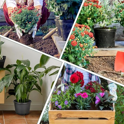 HOSTIC 1 Gallon Flexible Nursery Pots Gallon Pot with Drainage Holes Plastic Plant Container Suitable for Indoor Outdoor Vegetables Flowers Plants 10 PCS - size: Standard 1 Gallon