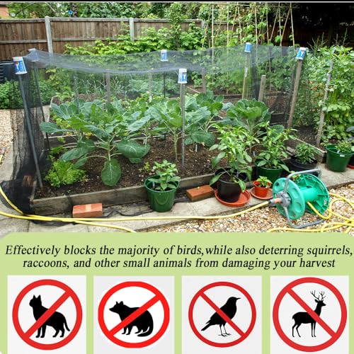 Junflying 50x100 FT Chicken Netting for Hawks & Predator Protection - size: 50x100 FT