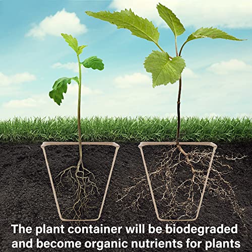 winemana Seed Starter Peat Pots,Biodegradable with Humidity Dome and Labels For Plant Nursery, Seedlings Planting For Indoor Outdoor Garden (Square)36 Set - size: Square