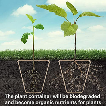 winemana Seed Starter Peat Pots,Biodegradable with Humidity Dome and Labels For Plant Nursery, Seedlings Planting For Indoor Outdoor Garden (Square)36 Set - size: Square
