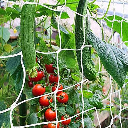 Trellis Netting, CANAGROW Heavy-Duty Garden Plant Trellis Netting for Climbing Plants, Outdoor Indoor Grow Net for Beans Tomatoes Peas Pumpkin Flowers, 6x15ft, 1 Pack - size: 6'x15'