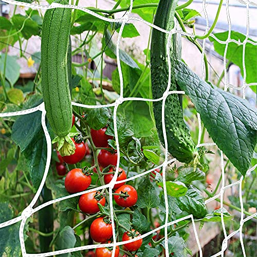 Trellis Netting, CANAGROW Heavy-Duty Garden Plant Trellis Netting for Climbing Plants, Outdoor Indoor Grow Net for Beans Tomatoes Peas Pumpkin Flowers, 6x30ft, 1 Pack - size: 6'x30'