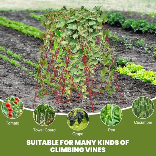 Cucumber Trellis 2 Pack,Foldable A-Frame Garden Trellis - color: Garnet Red, size: 39.4" H