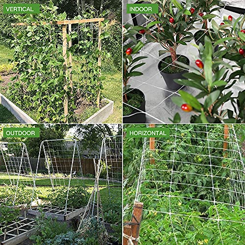 Trellis Netting, CANAGROW Heavy-Duty Garden Plant Trellis Netting for Climbing Plants, Outdoor Indoor Grow Net for Beans Tomatoes Peas Pumpkin Flowers, 6x15ft, 1 Pack - size: 6'x15'