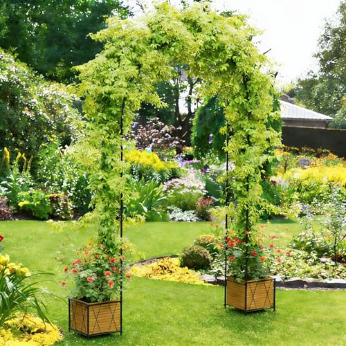 Heavy Duty Garden Arch Trellis for Climbing Plants Metal Garden Arbors