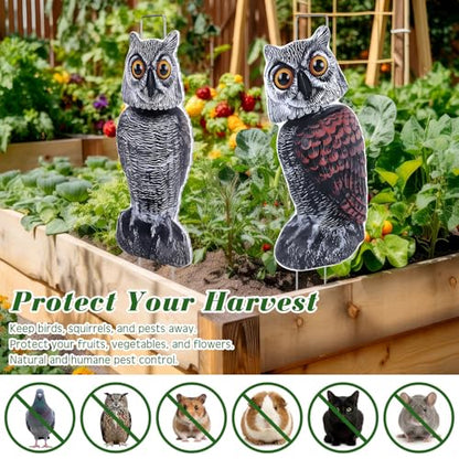 8 Pack Owl Decoys to Scare Birds Away, Fake Owls Scarecrow Yard Lawn Sign with Stakes Pest Repellent Bird Deterrents Waterproof Plastic Owls Decorations for Gardens Patio Outdoor(2 Pattern) - style: 2 Pattern