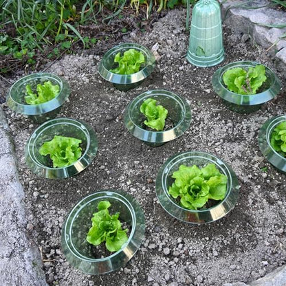 10 Pack Slug Collars for Plants