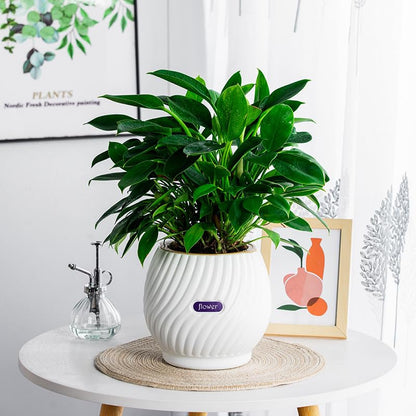 Self Watering Planters 7 Inch Self Watering Pots for Indoor Plants, African Violet Pots with Wick Rope, Flowers, Succulents, Herb, House Plants - color: Green