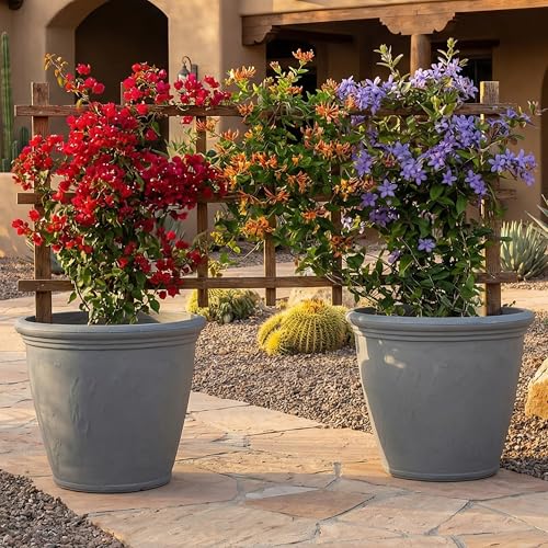 Sunnydaze Anjelica 20'' Large Plastic Planter Pot for Plants, Gray - color: Light Gray, size: 20 in