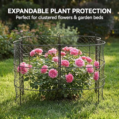 DHAMPOOH Garden Cloches for Plants, Outdoor Plant Protectors, 8 Pack - size: Pack of 8