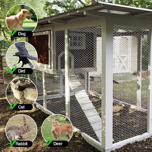 Amagabeli Chicken Wire Fencing 36inchx50ft Hexagonal Poultry Netting Galvanized Mesh Fence Chicken Netting Rabbits Pets Dog Cat Vegetable Garden fencing Barrier - size: 1" 36"x50'