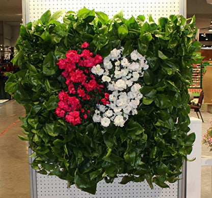 Bloomers Wall Flowers Vertical Gardening System – Create Gardens on Walls – Holds up to 4 Potted Plants – Black - color: Black, size: Wall Planter