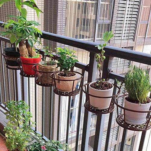 Hanging Rail Planter Baskets Gardening Wrought Iron Hanging Flower Baskets for Home Balconies, Iron Products for Home Grown Plants (Champagne) - color: Champagne