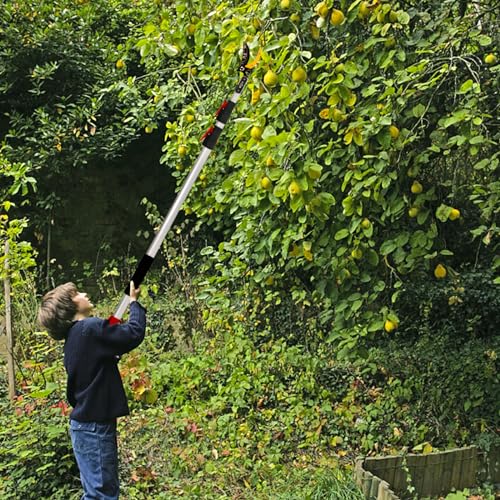 GATTLELIC 4.6-10 Ft Extendable Tree Pruner with Long Reach Pole Saw, Tree Trimmers Long Handle Pruner Cutting up to 1" Diameter, Telescoping Fruit Picker Pole for Tree Branch