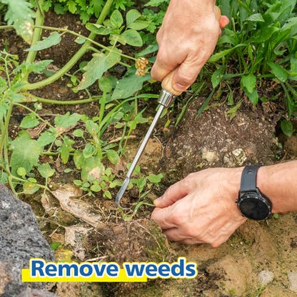 Garden Hook Weeder, L-Shape Single Claw Hook Crack Weeder - size: 12'' Hook Weeder