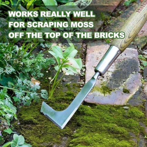 Haliaeetus Crack Weeder Tool, 17'' Stainless Steel Crevice Weeding Tool - size: 17'' Crack Weeder Tool