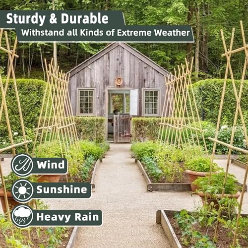 30Pcs / 7ft Bamboo Plant Stakes for Indoor Outdoor Plants, Garden Plant Support Sticks, Poles for Tomato Vegetables Beans Trees Potted Climbing Plants(0.32''-0.4'') - size: 7 FT 30PCS