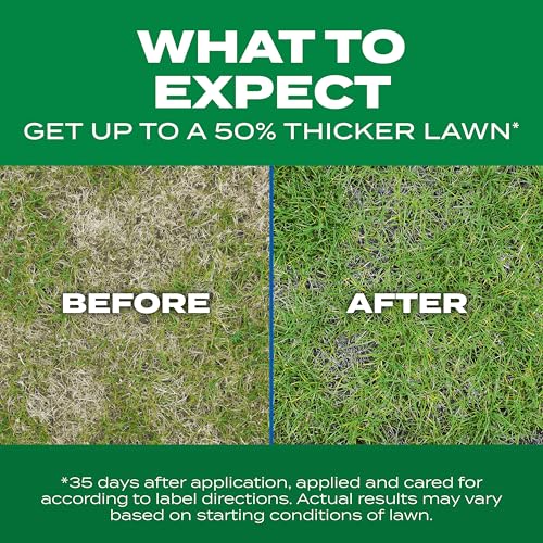 Scotts Turf Builder Thick'r Lawn Sun & Shade, 12 lbs. - size: 12 lb.