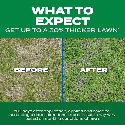 Scotts Turf Builder Thick'r Lawn Sun & Shade, 12 lbs. - size: 12 lb.