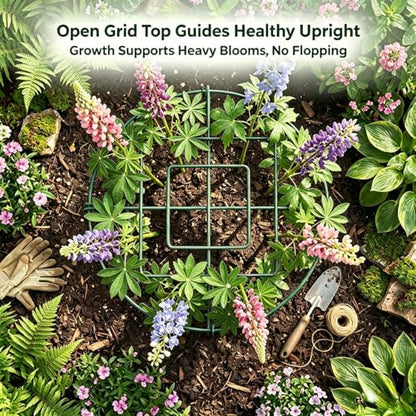 Peony Cages and Supports, 4 Pack, 14" D x 16" H with Twist Ties