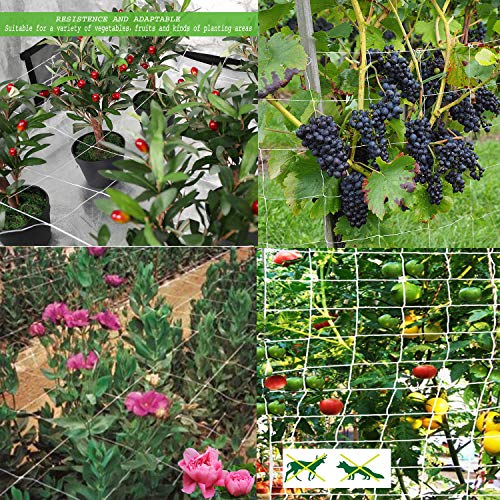 BaseGoal 3.5in Mesh Trellis Netting, 5x30ft, 1 Pack - size: 3.5" Mesh (5'X30')