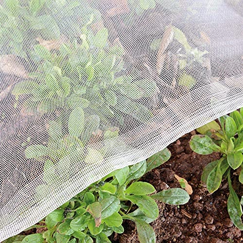 Garden Netting Bird Net 8x15Ft for Bug Protection - size: 8'x15'